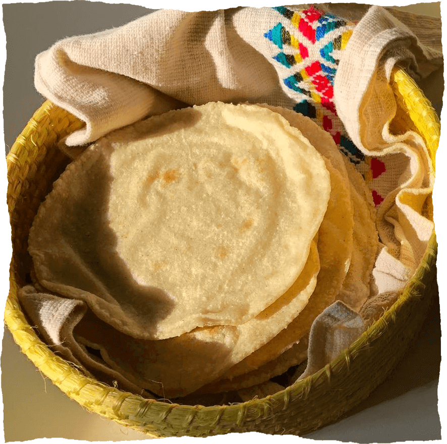Mais Tortillas selbst machen Anleitung