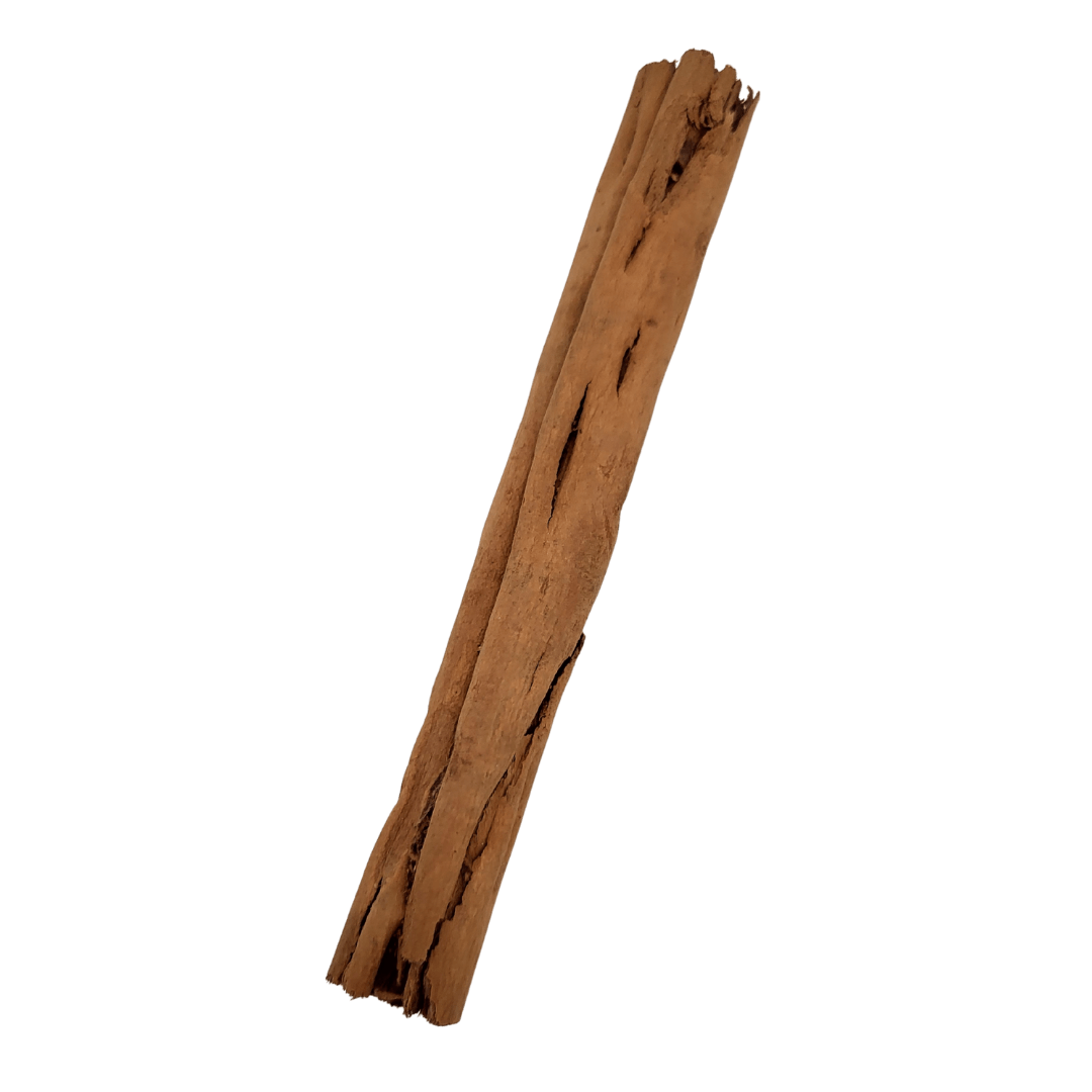 Zimtstange Canela topdown