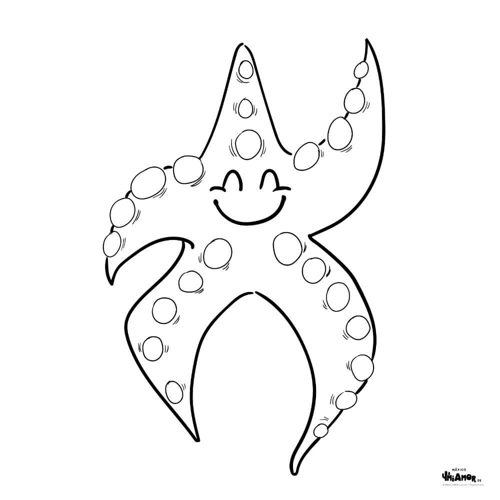 Zeichnung Ausmalbild Seestern / Starfish / Estrella de Mar