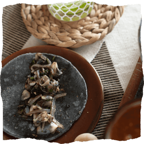 Huitlacoche (Cuitlacoche) Quesadilla Rezept - Der Pilz, der die Welt in Aufruhr versetzt