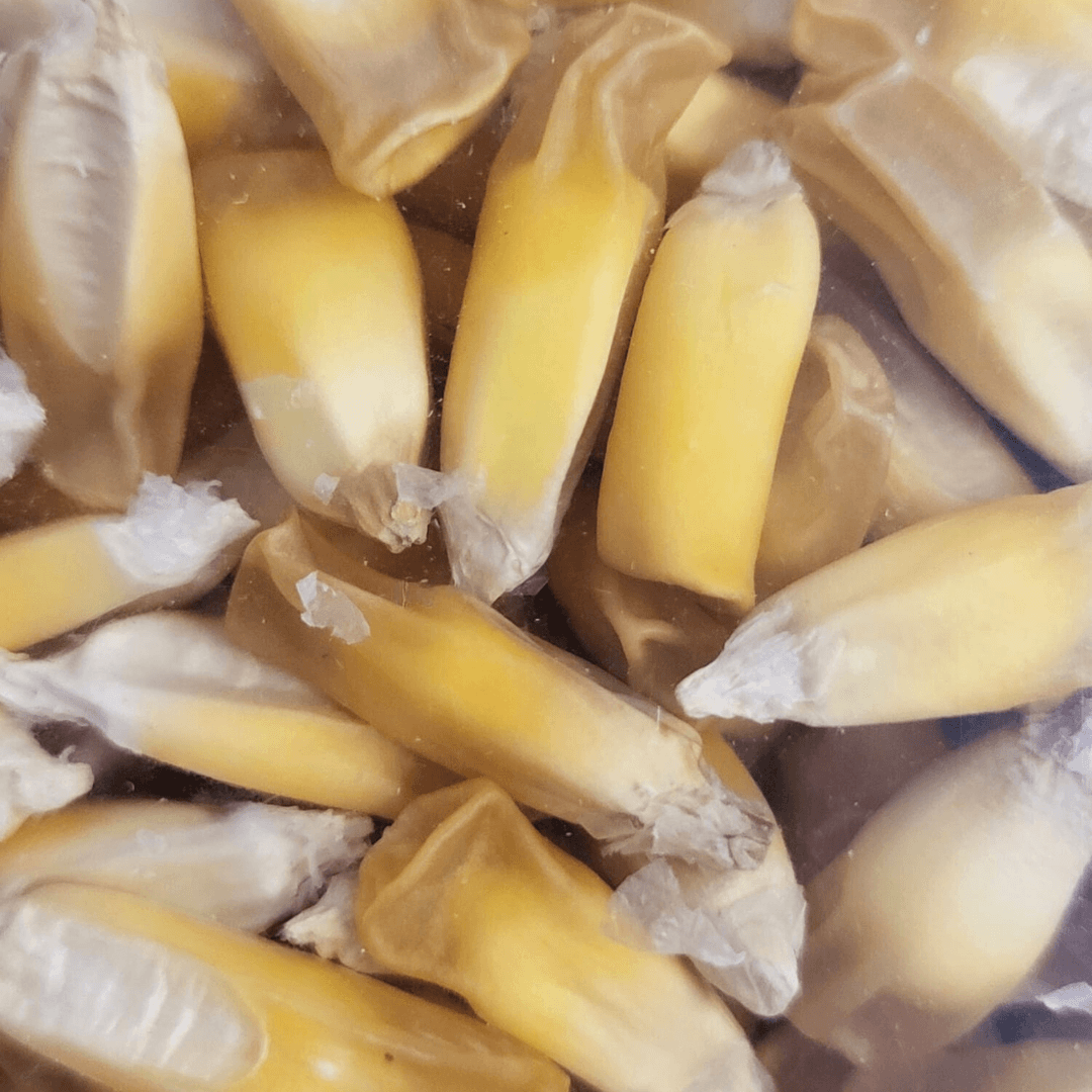 Maiskörner Chulpi Chulpe America 500g Beutel detail