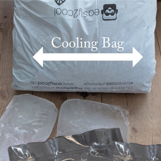 Cooling Bag example