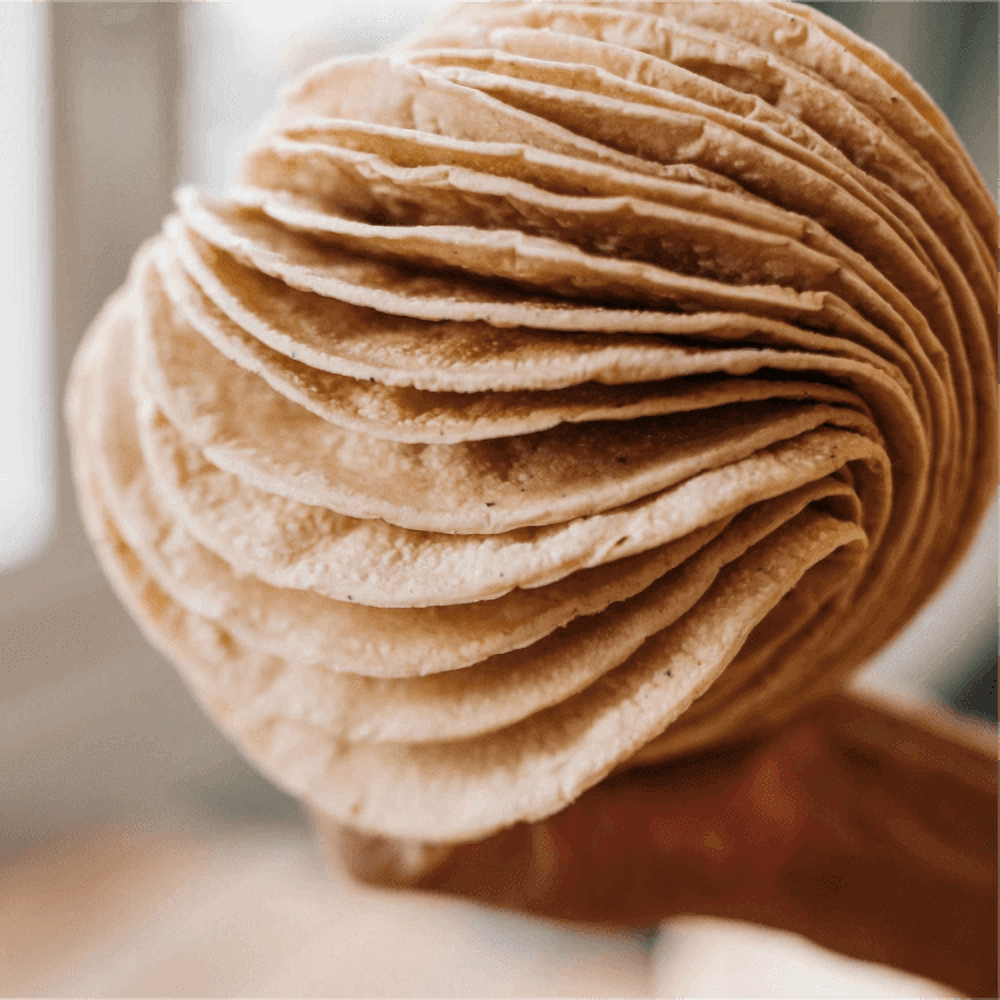 Masamor Bio Tortillas die in der Hand gehalten werden 