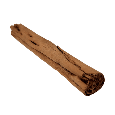 Zimtstange Canela isometrisch