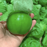 VORBESTELLUNG: Frische Tomatillos (grüne Tomaten) 500g