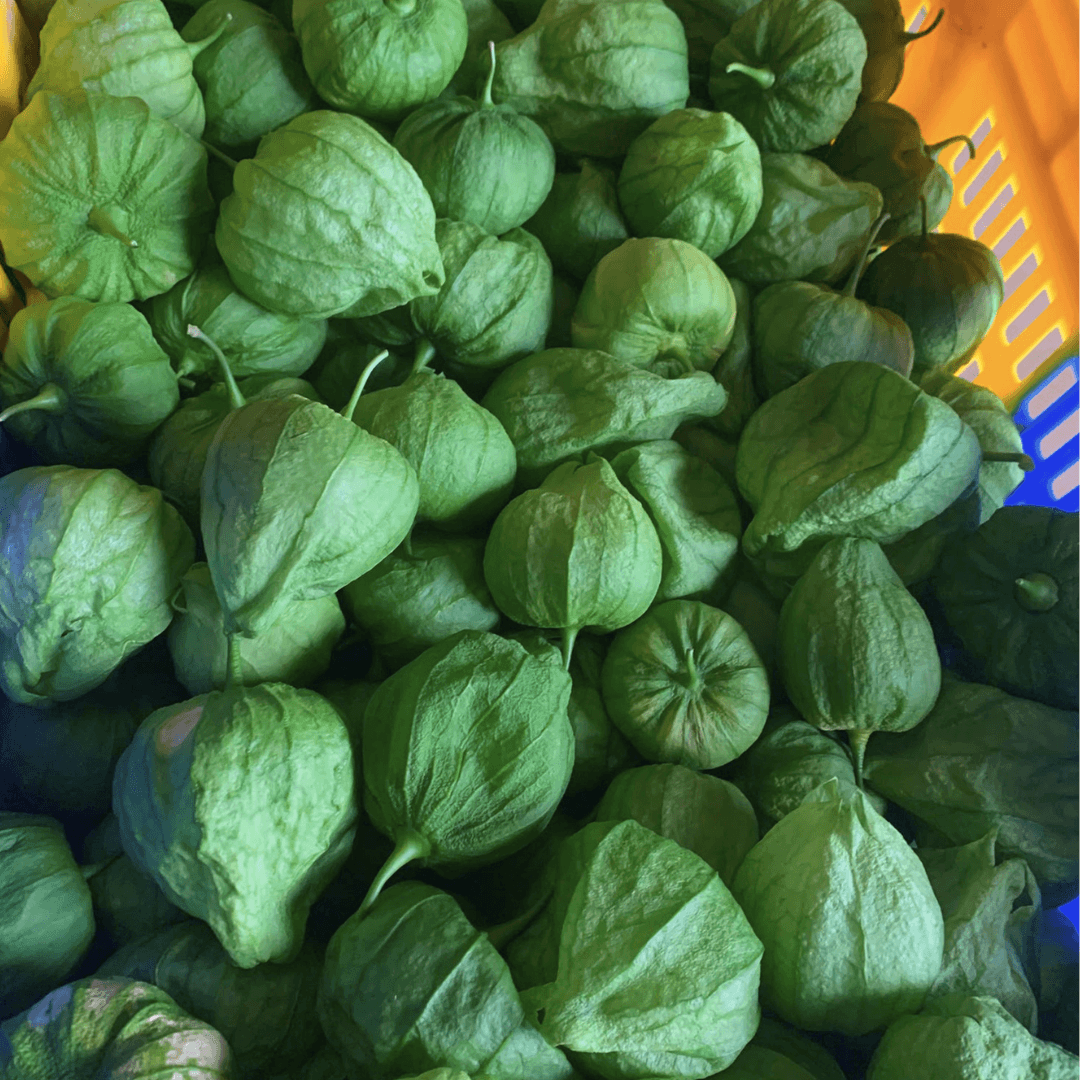 VORBESTELLUNG: Frische Tomatillos (grüne Tomaten) 500g