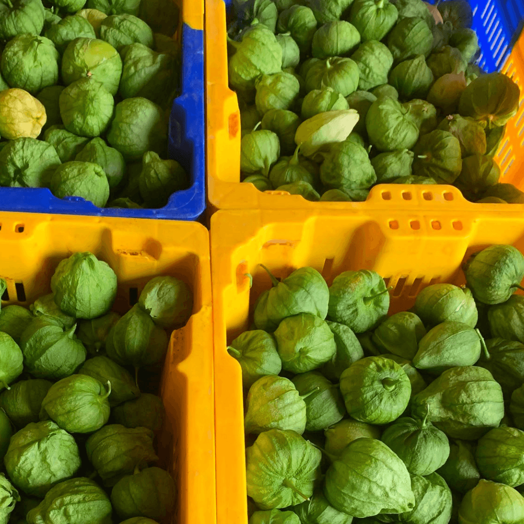 VORBESTELLUNG: Frische Tomatillos (grüne Tomaten) 500g