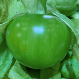 VORBESTELLUNG: Frische Tomatillos (grüne Tomaten) 500g