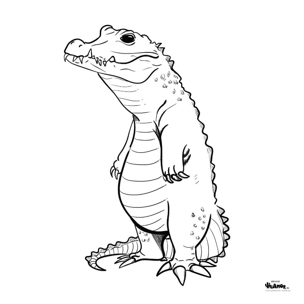 Zeichnung Ausmalbild Krokodil / Crocodile / Cocodrilo