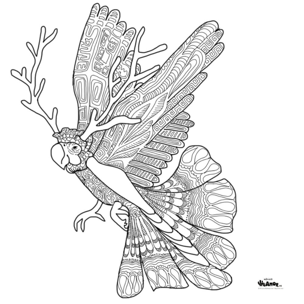 Zeichnung Ausmalbild Amorbrije Version - Papagei / Parrot / Papagayo