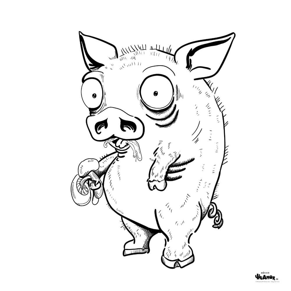 Zeichnung Ausmalbild Schwein / Pig / Cerdo